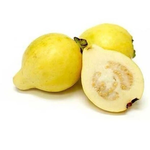 https://cdn.pickitt.ae/pickitt.ae/public/data/products/1502.webp