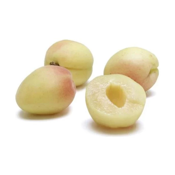https://cdn.pickitt.ae/pickitt.ae/public/data/products/1905.webp