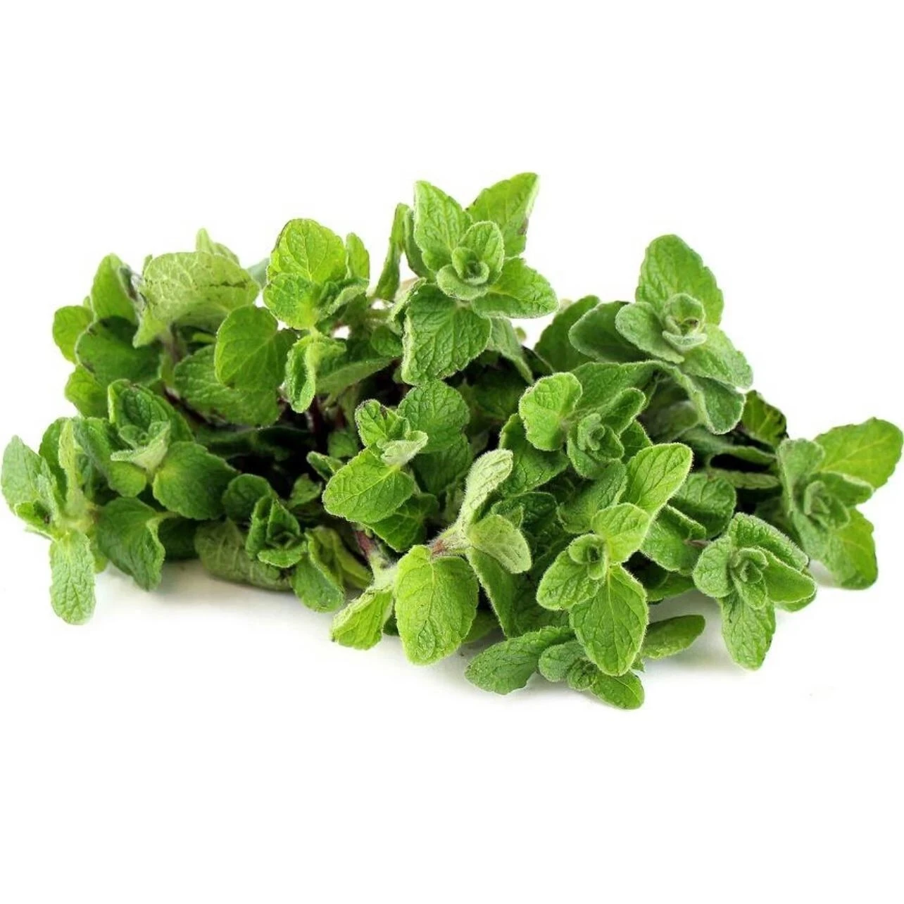 https://cdn.pickitt.ae/pickitt.ae/public/data/products/6abb96b11203b.webp